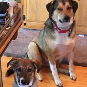 Meet your Posher, Tracey